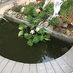 Gemuetliches In Mit Grill Und Terrasse By Interhome Lägenhet *