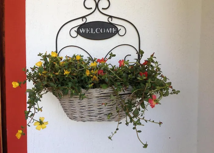 Gemuetliches In Mit Grill Und Terrasse By Interhome Appartement *